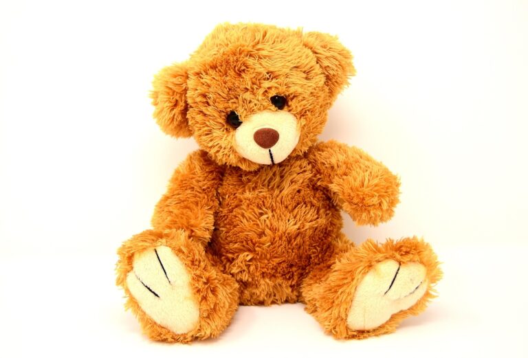 teddy-2989138_1280